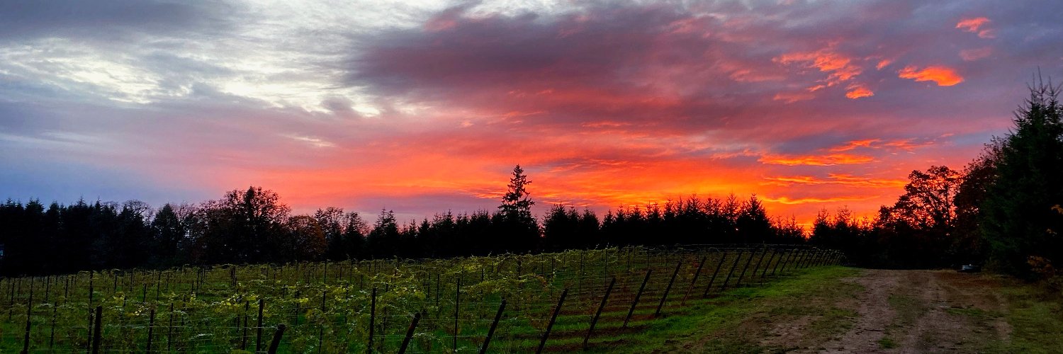 Kristof Farms's banner