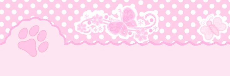 ୨𝑒 ꒱ junie . . 🐾 banner