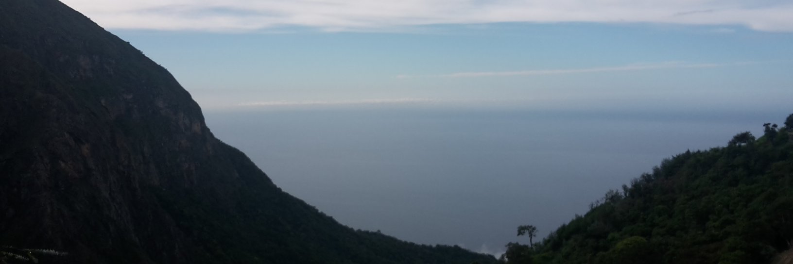 risqueza's profile banner image