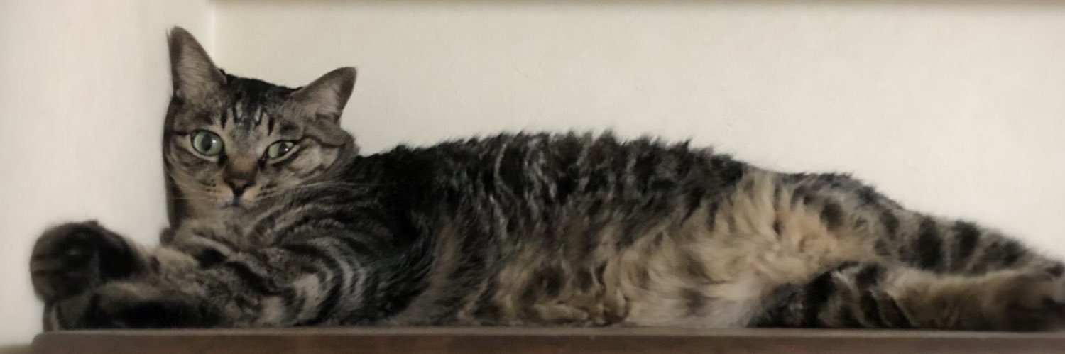 924Nyan's profile banner image