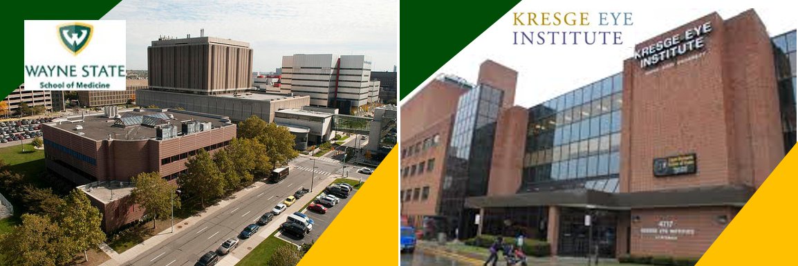 Wayne OVAS/Kresge Eye Institute/Wayne Health banner