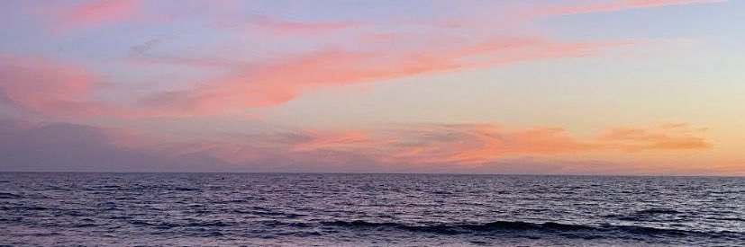 emili banner