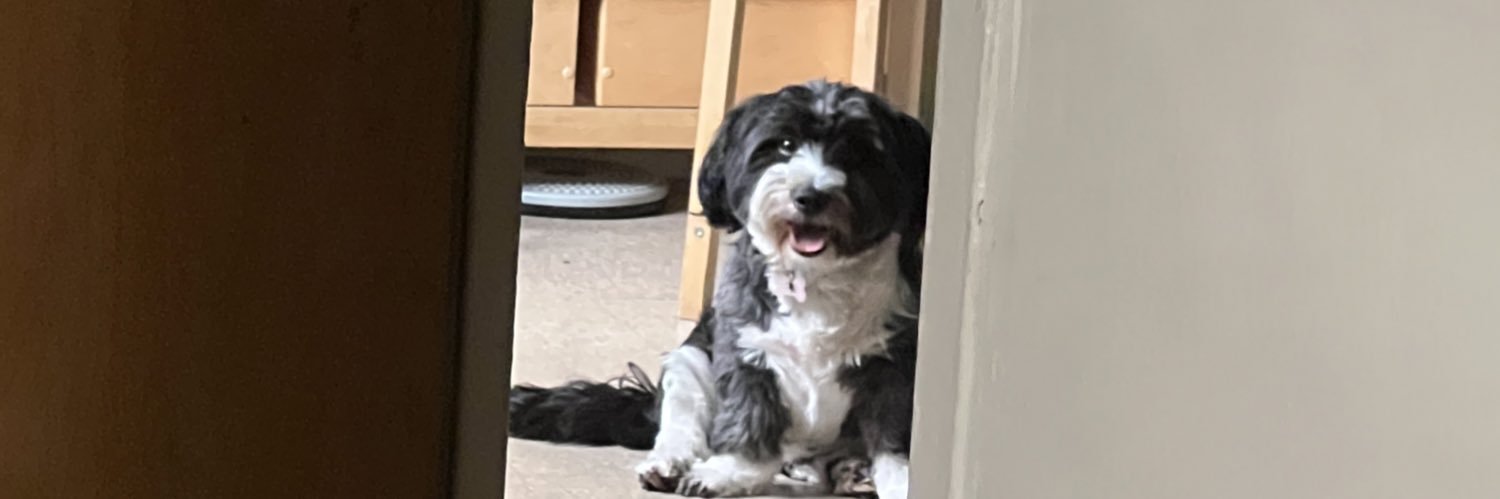 msmissyyyy's profile banner image