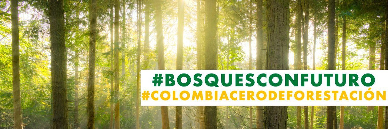 Alianza por los Bosques Tropicales banner