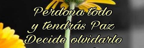 alidasilvai's profile banner image