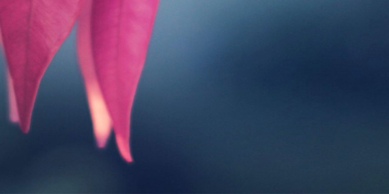 LLLAURABARBAAA's profile banner image