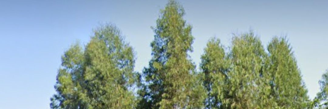 Troublesolver11's profile banner image