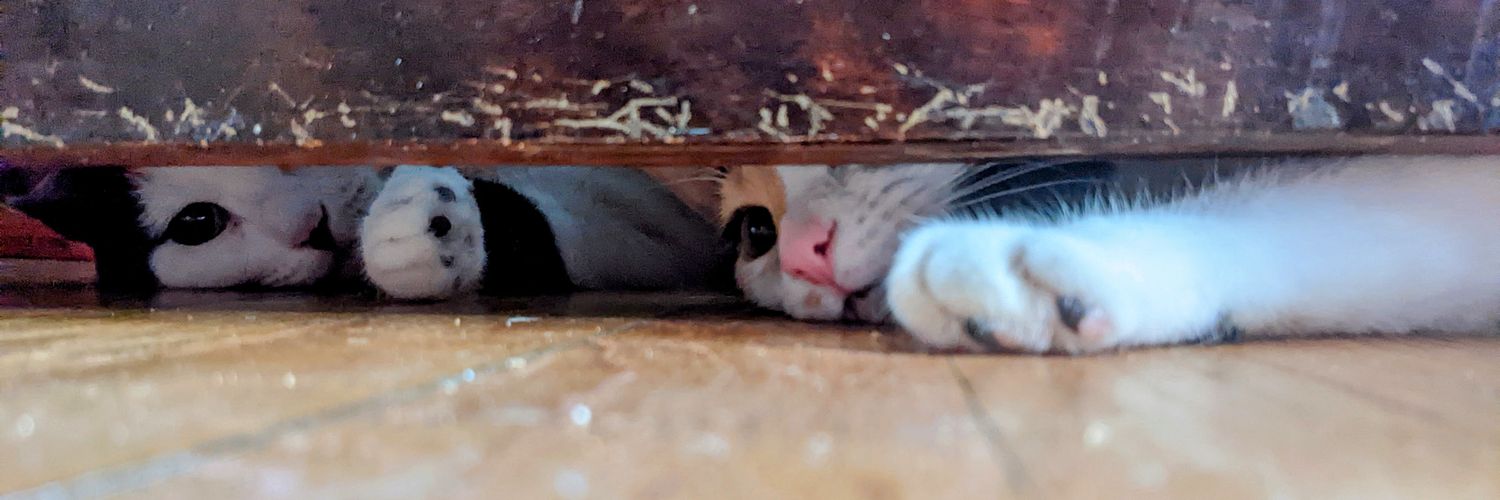 meowerplay's profile banner image