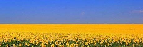putuliza's profile banner image