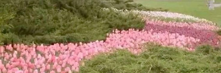 Leon, CEO of Sad Old Men ✦️ banner