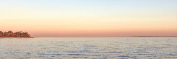 Empathic_Paws Profile Banner