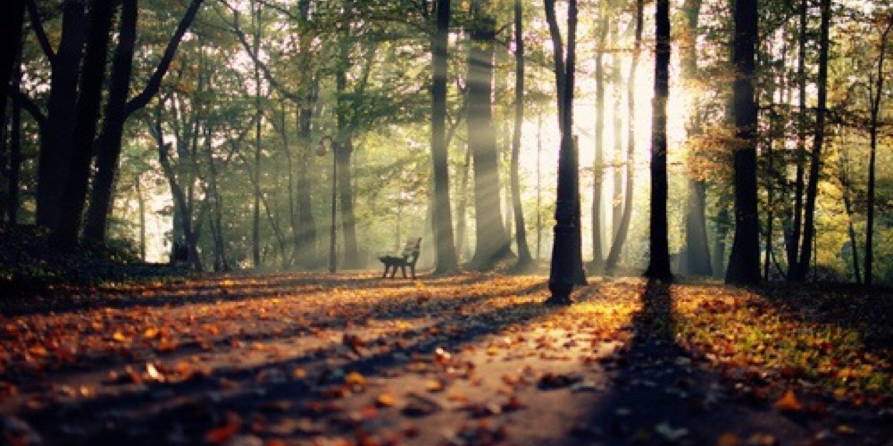 ZoTaylorHibbert's profile banner image