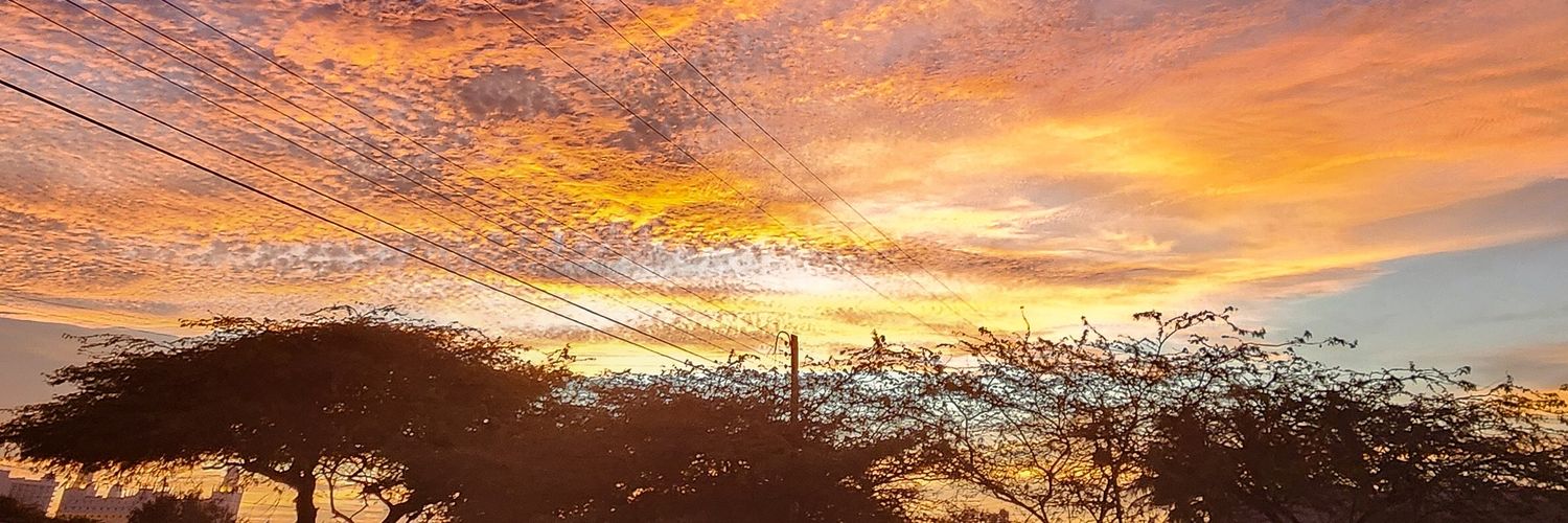 flakisrocks's profile banner image
