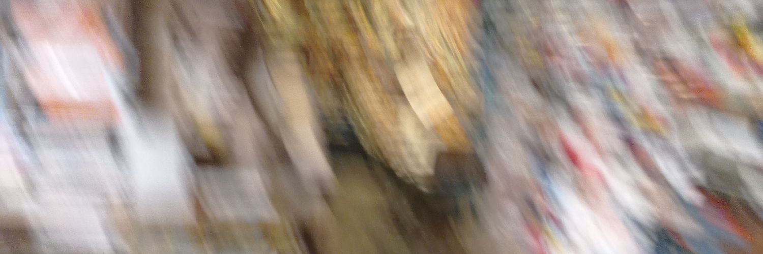 laiacarrasquer's profile banner image