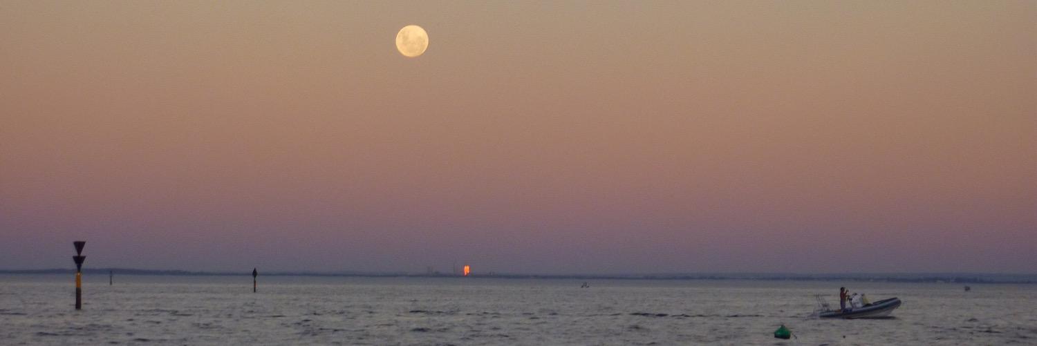 Rob Broadfield banner