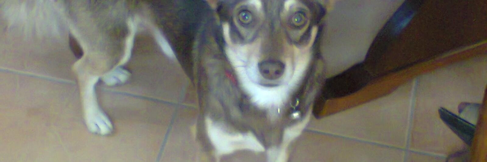 Edgar Gonçalves Henriques banner