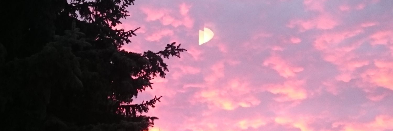 PatrickHI's profile banner image