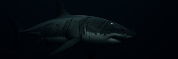 omrkrr Profile Banner