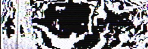 ArrobaCaracol's profile banner image