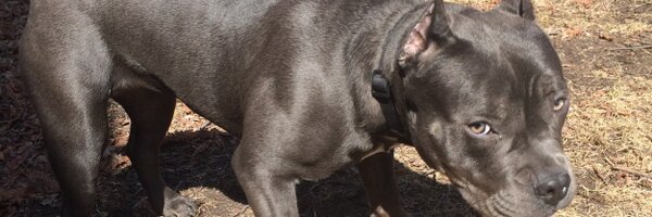 DamnSamn_ Profile Banner