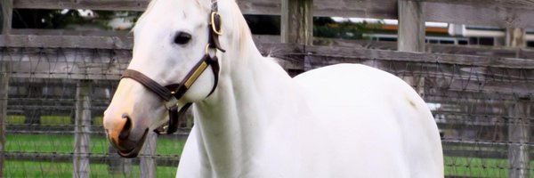 severingaxis183 Profile Banner