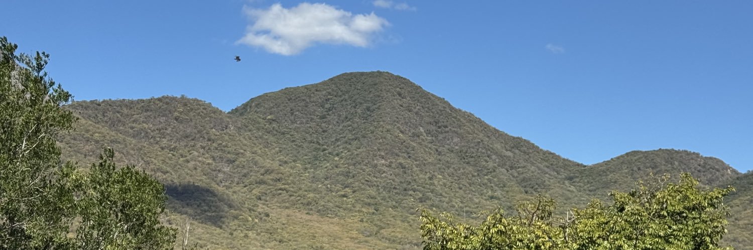 El teacher  👨🏻‍💻🏋🏻‍♂️ banner