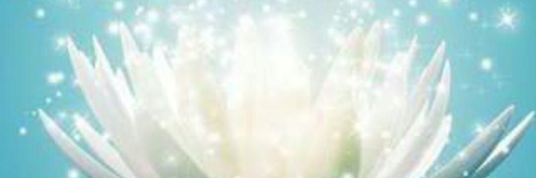 ivettesa72's profile banner image