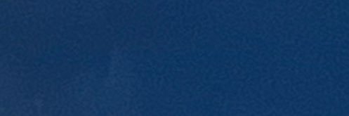 evie 💐 florescence banner