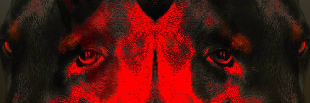 xyphuck420's profile banner image