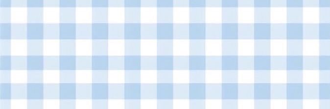 polly parton banner