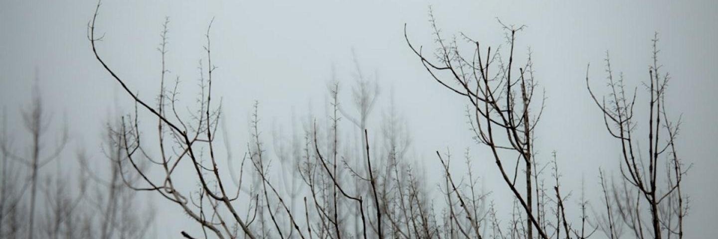 Randyux's profile banner image