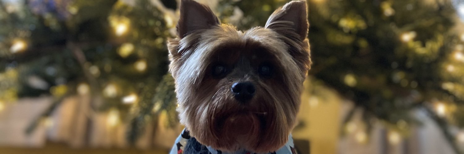 _jenelyyy's profile banner image