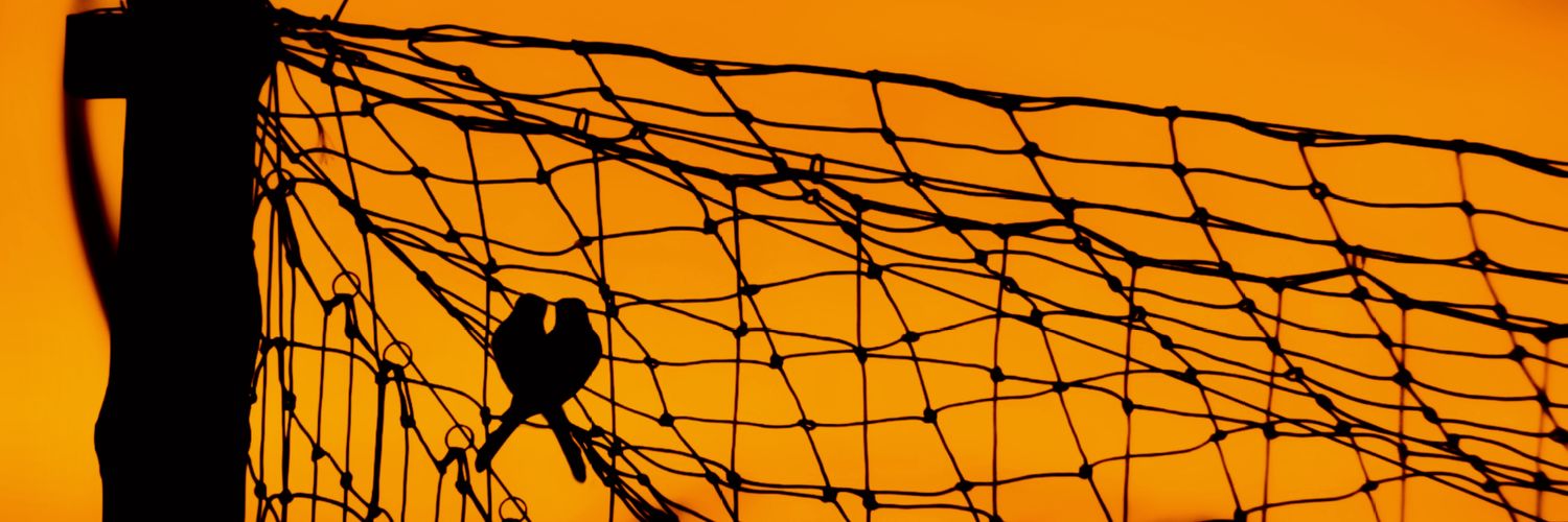 Marithê do Céu banner