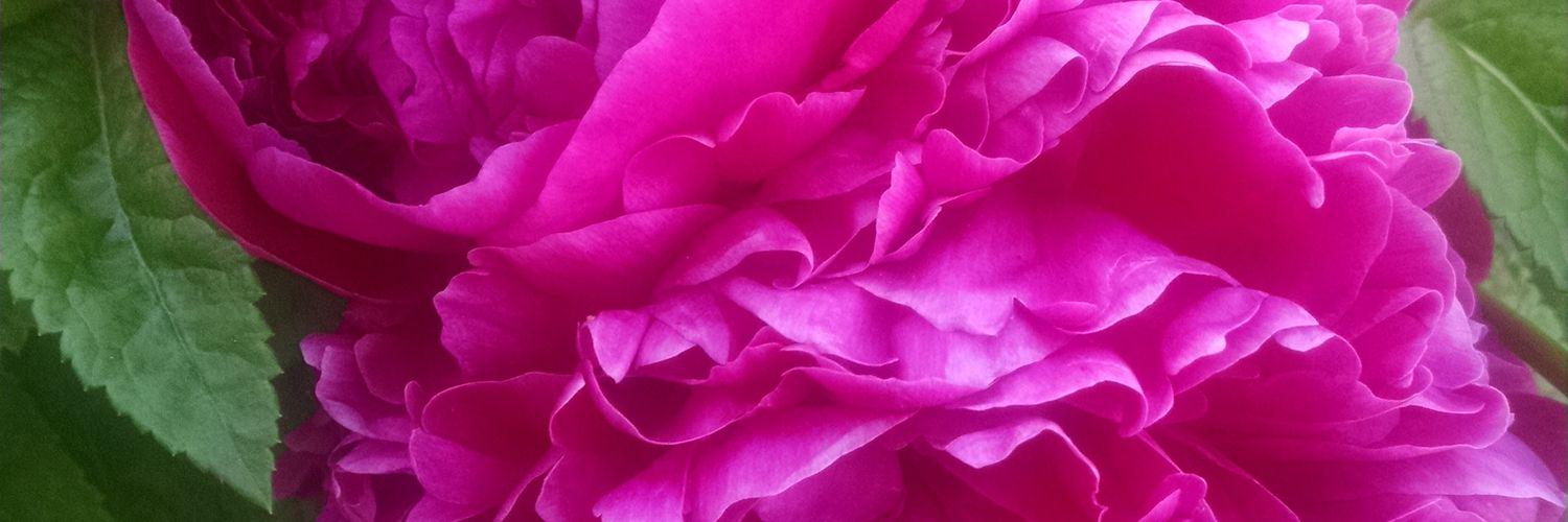EbonyPrincess2's profile banner image