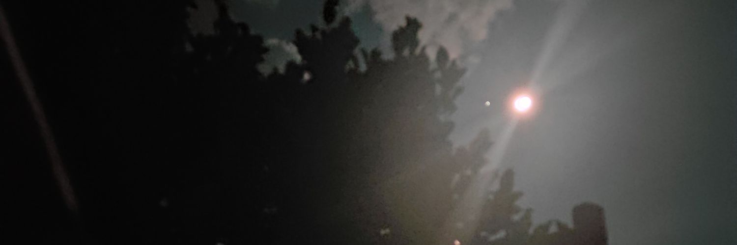 gwadstzy's profile banner image