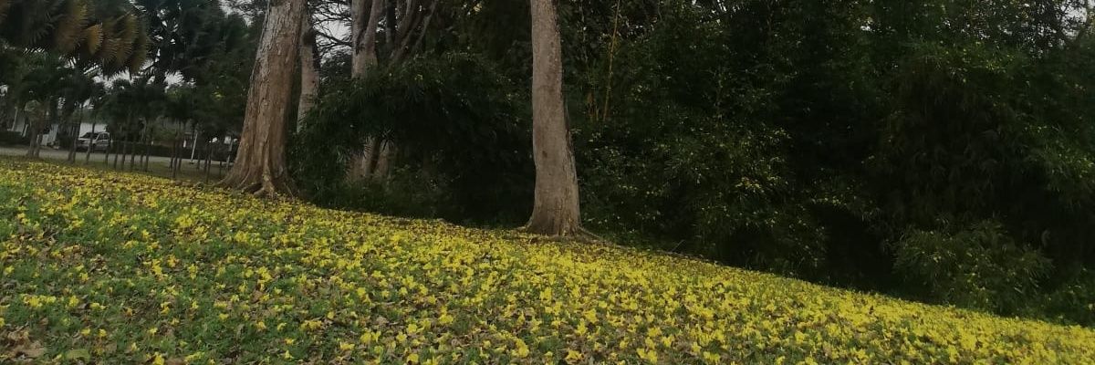 eseichm's profile banner image