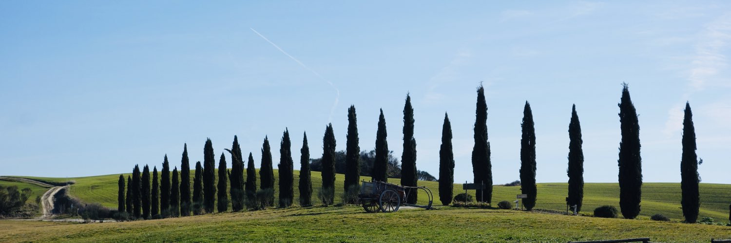 𝒞ℋ𝒜ℛ*✴︎ banner