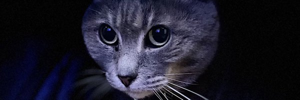 Up4Air Profile Banner