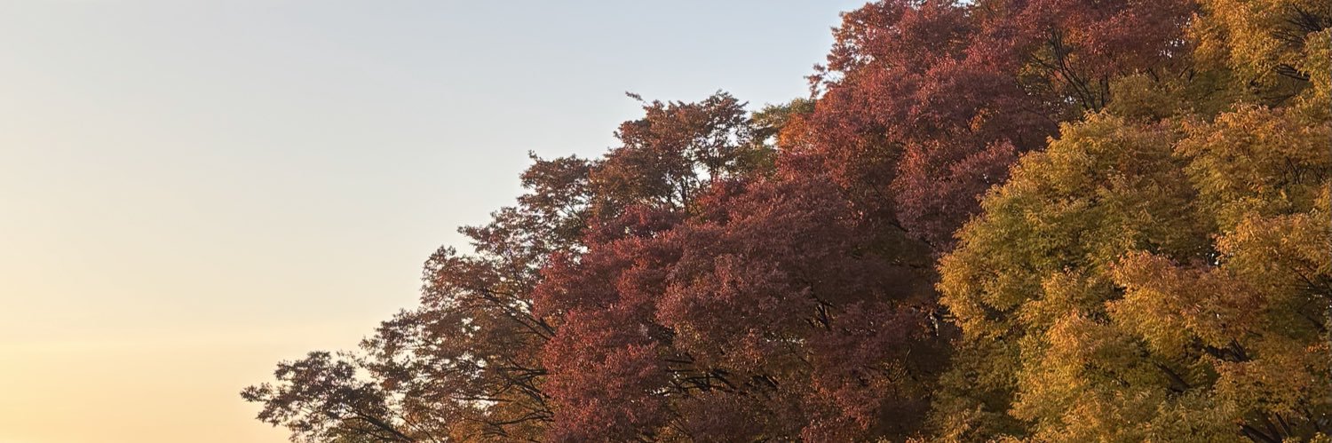 pysellaa's profile banner image