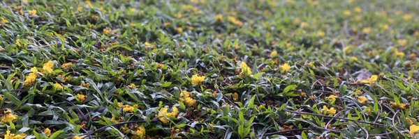 bobbyvats Profile Banner