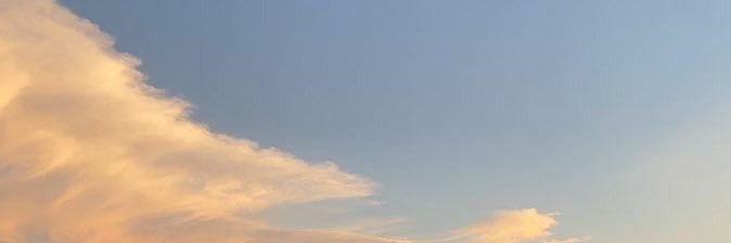 ユズ banner