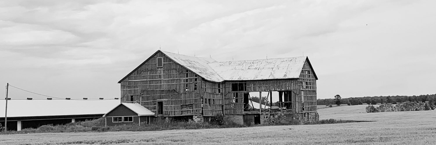 AshleyTateAuthor banner