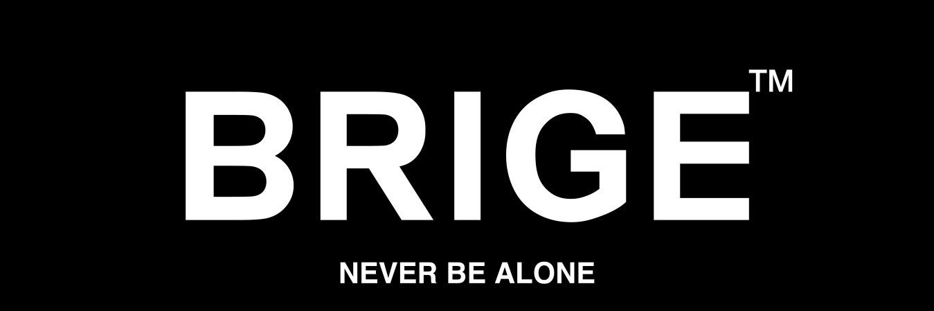 BRIGE banner