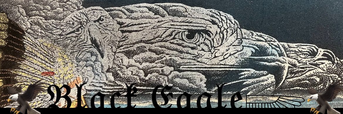 🦅𝔅𝔩𝔞𝔠𝔨 𝔈𝔞𝔤𝔩𝔢𓆃🦅's banner