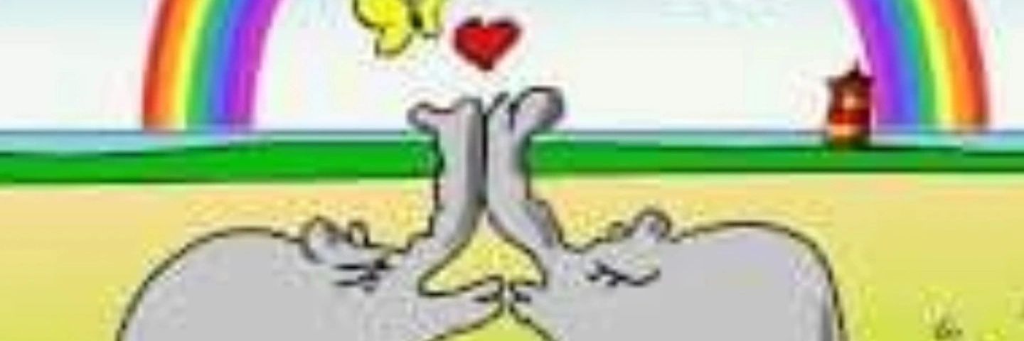 Markus Haase banner