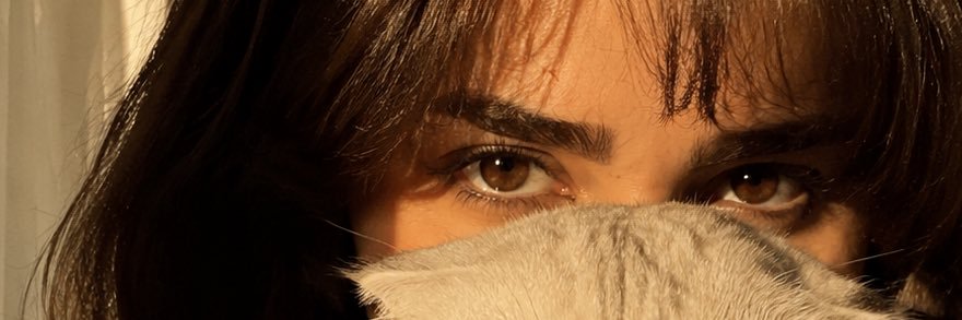 هَرنوت banner