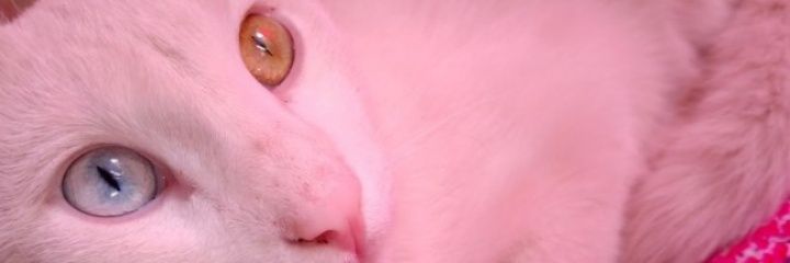Carolin40508001's profile banner image