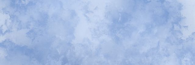 danielassalgado's profile banner image