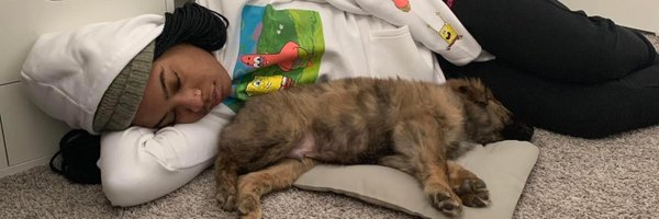 shak3yb Profile Banner