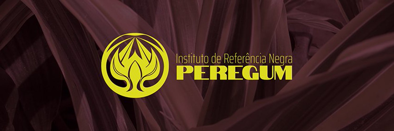 Instituto de Referência Negra Peregum Profile Banner